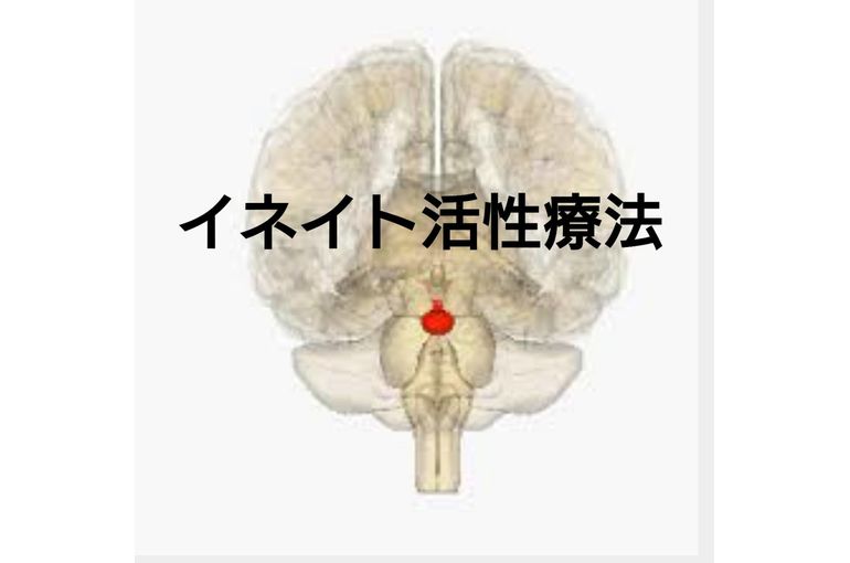 イネイト活性療法とは