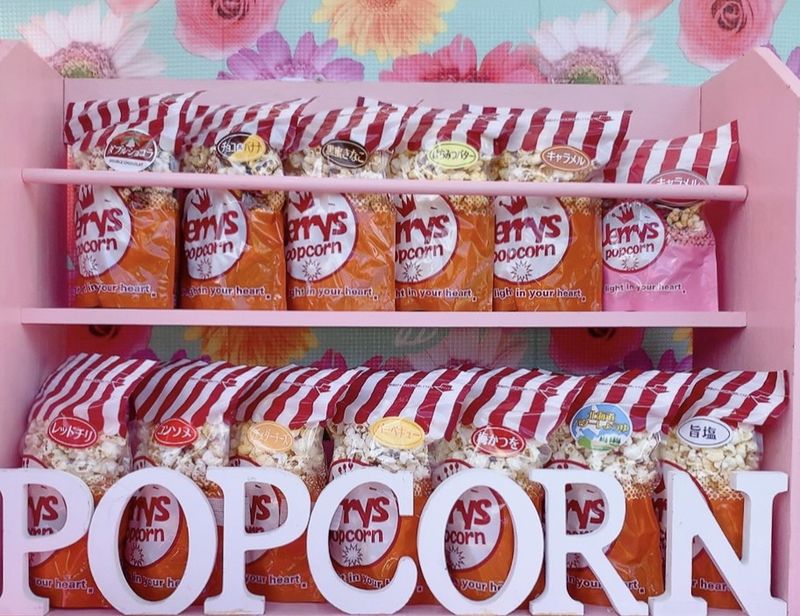 2024年2月18日（日）第18回CorSanaフェスティバル出店者紹介 奏