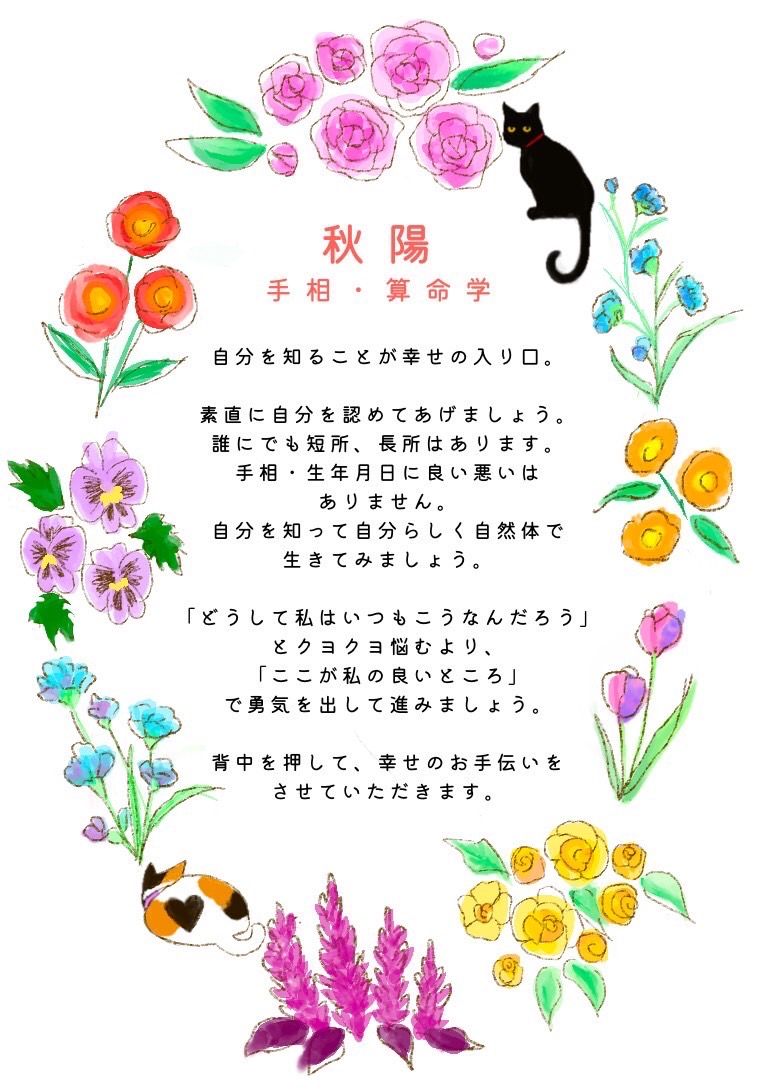 みゅうみゅう 算命学 伝習院 臨位科テープ2本 算命学 全10冊揃